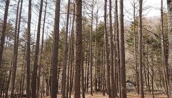 outside BASE　アウトサイドベース